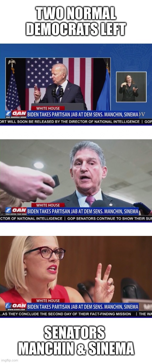 Two normal Democrats left. | TWO NORMAL
DEMOCRATS LEFT; SENATORS 
MANCHIN & SINEMA | image tagged in democrat party,joe biden,biden,communist,communists,woke | made w/ Imgflip meme maker