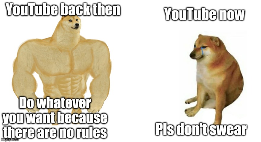YouTube then vs now | YouTube back then; YouTube now; Do whatever you want because there are no rules; Pls don't swear | image tagged in buff doge vs crying cheems | made w/ Imgflip meme maker
