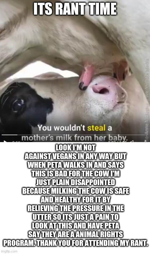 Not sure if this will get accepted just wanted to rant a little | ITS RANT TIME; LOOK I'M NOT AGAINST VEGANS IN ANY WAY BUT WHEN PETA WALKS IN AND SAYS THIS IS BAD FOR THE COW I'M JUST PLAIN DISAPPOINTED BECAUSE MILKING THE COW IS SAFE AND HEALTHY FOR IT BY RELIEVING THE PRESSURE IN THE UTTER SO ITS JUST A PAIN TO LOOK AT THIS AND HAVE PETA SAY THEY ARE A ANIMAL RIGHTS PROGRAM. THANK YOU FOR ATTENDING MY RANT. | image tagged in blank white template | made w/ Imgflip meme maker