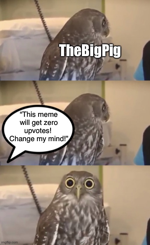 My spider sense is tingling! | TheBigPig; “This meme will get zero upvotes!  Change my mind!” | image tagged in owl,funny,memes | made w/ Imgflip meme maker