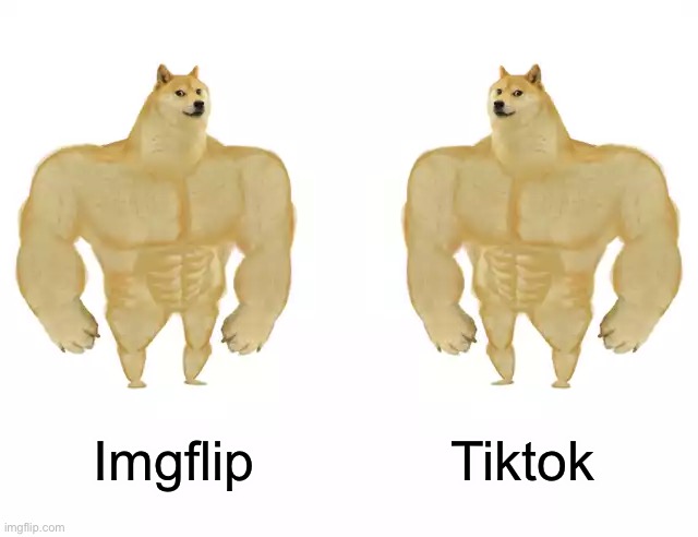 Buff Doge vs Buff Doge | Imgflip; Tiktok | image tagged in buff doge vs buff doge,imgflip,tiktok,buff doge | made w/ Imgflip meme maker