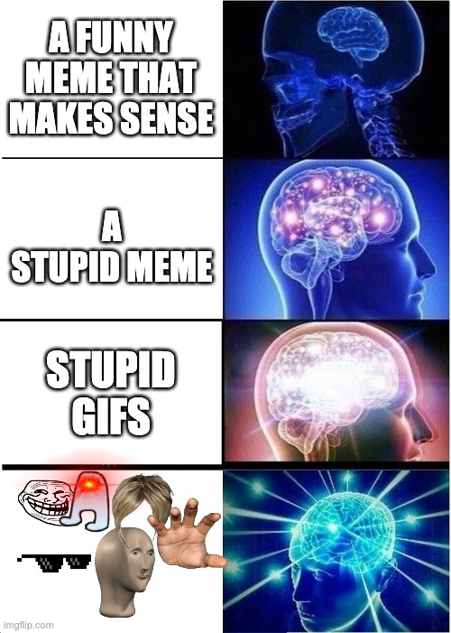 Expanding Brain | A FUNNY MEME THAT MAKES SENSE; A STUPID MEME; STUPID GIFS | image tagged in memes,expanding brain | made w/ Imgflip meme maker