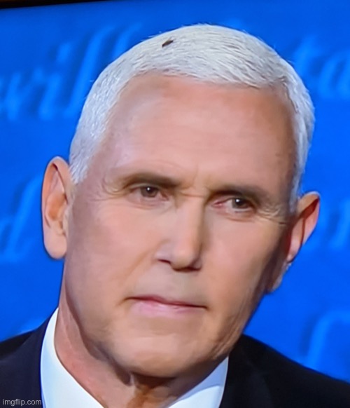 Mike Pence Fly | image tagged in mike pence fly | made w/ Imgflip meme maker