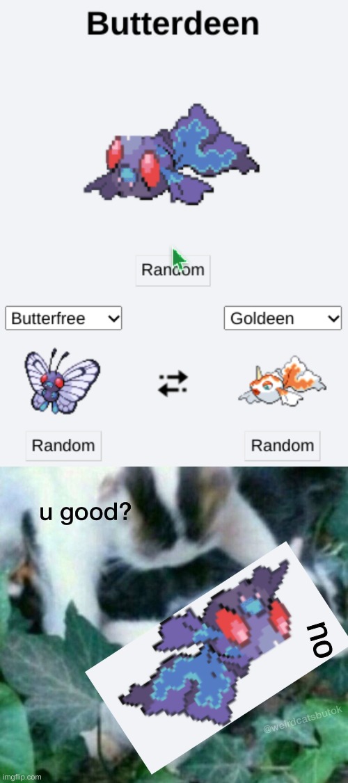 It looks like melted Butterfree | no | image tagged in u good no,what did you just bring upon this cursed land,nani,memes,funny,lol | made w/ Imgflip meme maker