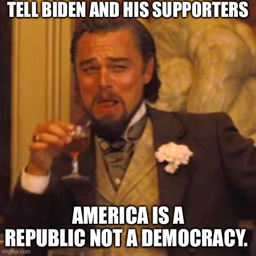 Laughing Leo Meme | TELL BIDEN AND HIS SUPPORTERS AMERICA IS A REPUBLIC NOT A DEMOCRACY. | image tagged in memes,laughing leo | made w/ Imgflip meme maker