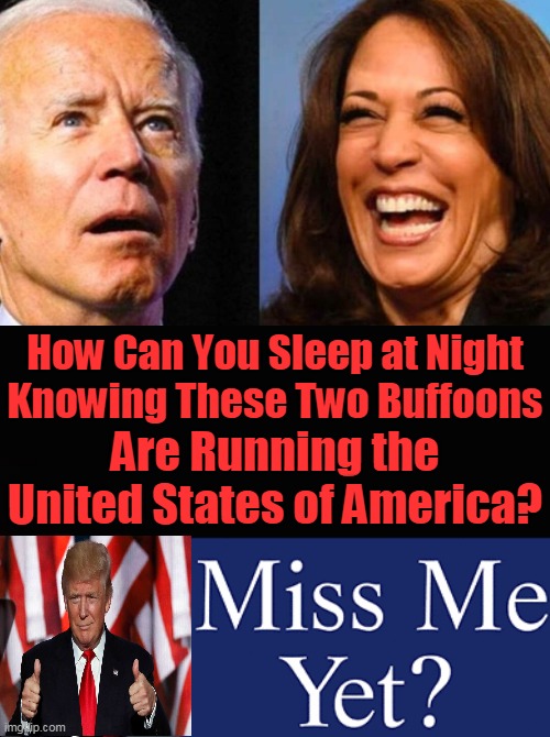 Radical Democrat Socialists Are Destroying Our Country | How Can You Sleep at Night
Knowing These Two Buffoons; Are Running the
United States of America? | image tagged in political meme,democratic socialism,liberalism,chaos,destruction | made w/ Imgflip meme maker