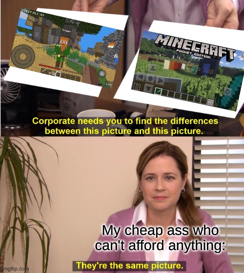 They're The Same Picture |  My cheap ass who can't afford anything: | image tagged in memes,they're the same picture | made w/ Imgflip meme maker