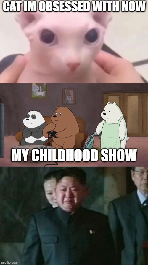 sadness | CAT IM OBSESSED WITH NOW; MY CHILDHOOD SHOW | image tagged in we bare bears,memes,kim jong un sad | made w/ Imgflip meme maker