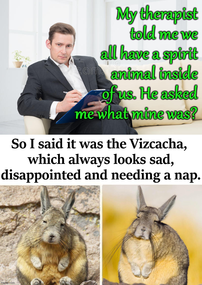 This is sort of a face reveal .... |  My therapist told me we all have a spirit animal inside of us. He asked me what mine was? So I said it was the Vizcacha, 
which always looks sad, disappointed and needing a nap. | image tagged in therapist,spirit animal,sad,nap,disappointed | made w/ Imgflip meme maker