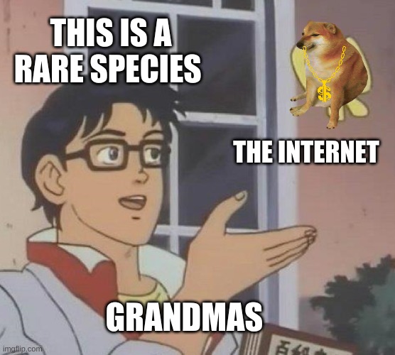 grandmas | THIS IS A RARE SPECIES; THE INTERNET; GRANDMAS | image tagged in memes,is this a pigeon | made w/ Imgflip meme maker