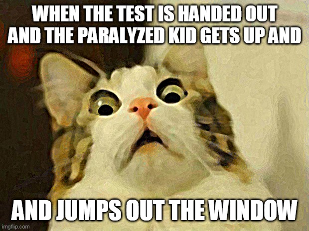 frick | WHEN THE TEST IS HANDED OUT AND THE PARALYZED KID GETS UP AND AND JUMPS OUT THE WINDOW | image tagged in memes,scared cat | made w/ Imgflip meme maker