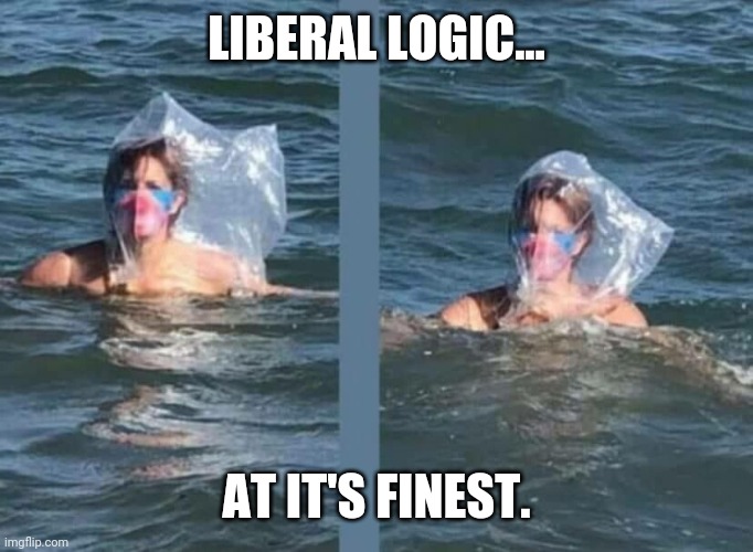 This is just stupid. | LIBERAL LOGIC... AT IT'S FINEST. | image tagged in memes | made w/ Imgflip meme maker