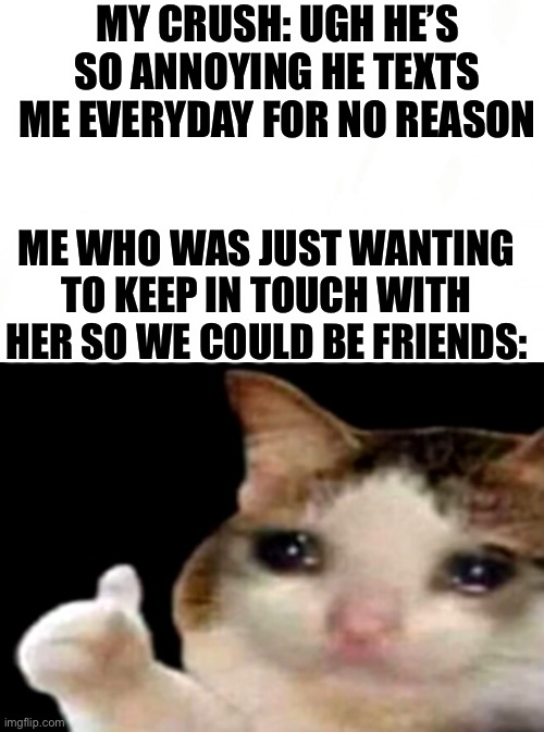 MY CRUSH: UGH HE’S SO ANNOYING HE TEXTS ME EVERYDAY FOR NO REASON; ME WHO WAS JUST WANTING TO KEEP IN TOUCH WITH HER SO WE COULD BE FRIENDS: | image tagged in sad cat thumbs up | made w/ Imgflip meme maker