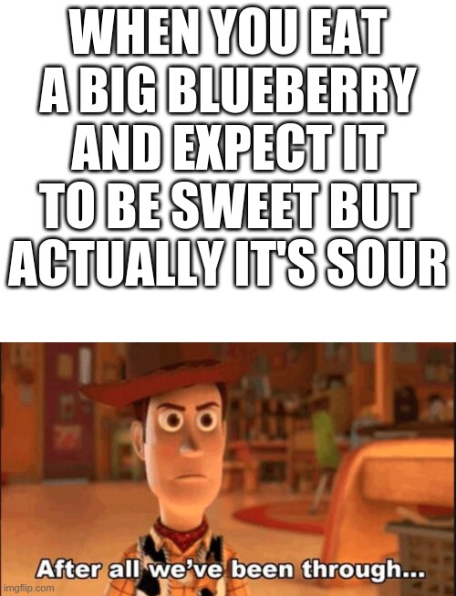 ugh i hate when this happens | WHEN YOU EAT A BIG BLUEBERRY AND EXPECT IT TO BE SWEET BUT ACTUALLY IT'S SOUR | image tagged in blank white template | made w/ Imgflip meme maker
