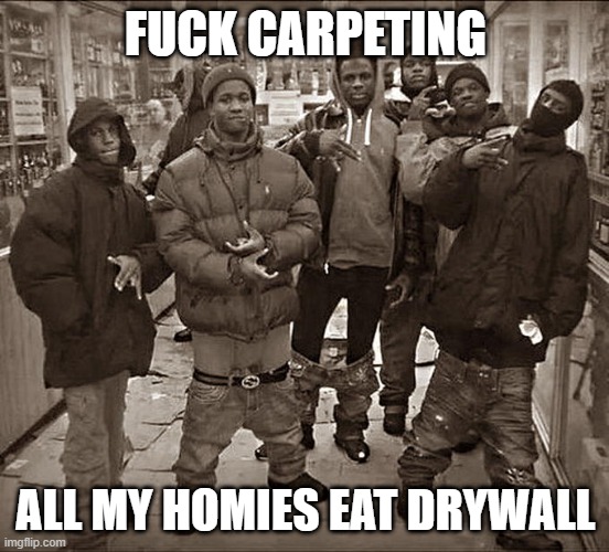 All My Homies Hate | FUCK CARPETING; ALL MY HOMIES EAT DRYWALL | image tagged in all my homies hate | made w/ Imgflip meme maker