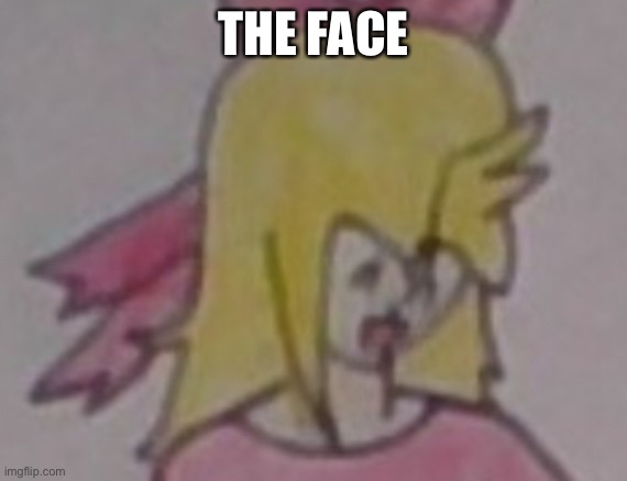 THE FACE | made w/ Imgflip meme maker