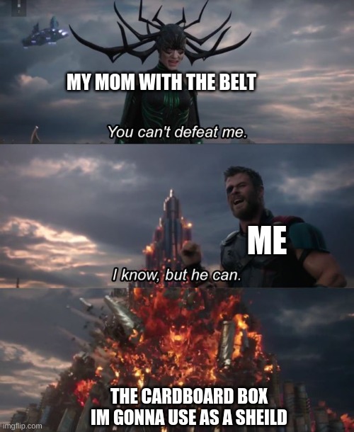 do you think this is gonna work | MY MOM WITH THE BELT; ME; THE CARDBOARD BOX IM GONNA USE AS A SHEILD | image tagged in you can't defeat me | made w/ Imgflip meme maker