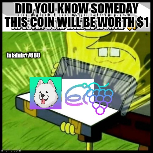 Tipestry memes | DID YOU KNOW SOMEDAY THIS COIN WILL BE WORTH $1; lalabib#7680 | image tagged in tipestry memes | made w/ Imgflip meme maker