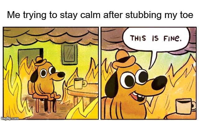 This Is Fine | Me trying to stay calm after stubbing my toe | image tagged in memes,this is fine,relatable,stubbing toe | made w/ Imgflip meme maker