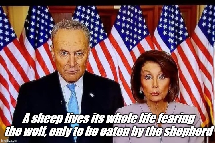 Chuck and Nancy | A sheep lives its whole life fearing the wolf, only to be eaten by the shepherd | image tagged in chuck and nancy | made w/ Imgflip meme maker