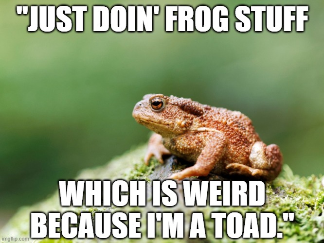 Funny animal meme - Toad, "Just doin' frog stuff which is weird because I'm a toad." | "JUST DOIN' FROG STUFF; WHICH IS WEIRD BECAUSE I'M A TOAD." | image tagged in memes,funny memes,funny animals,toad,frog,humor | made w/ Imgflip meme maker