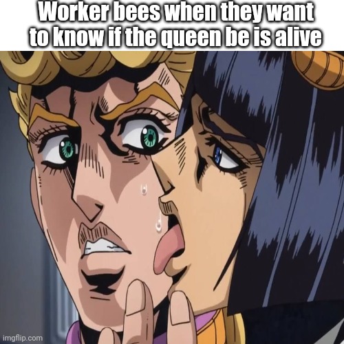 *lick lick* | Worker bees when they want to know if the queen be is alive | image tagged in jojo's bizarre adventure,memes,bees | made w/ Imgflip meme maker