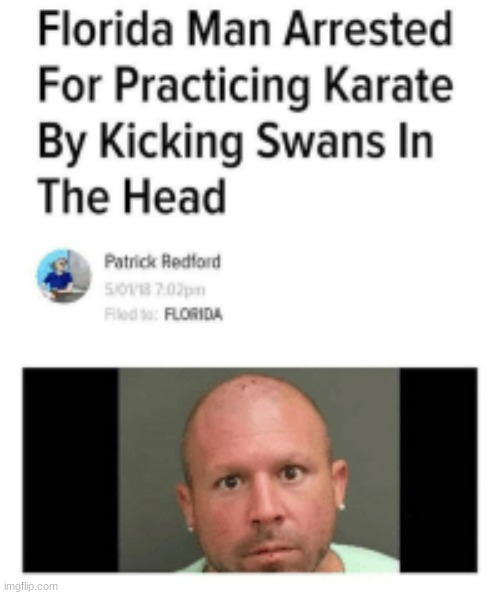 this is messed up, BUT HILARIOUS | image tagged in karate,florida man | made w/ Imgflip meme maker