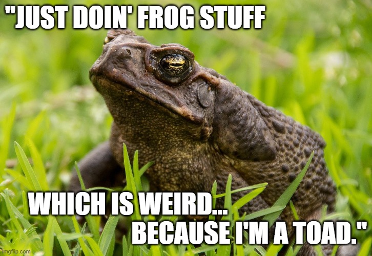 Funny toad - "Just doin' frog stuff which is weird because I'm a toad." | "JUST DOIN' FROG STUFF; WHICH IS WEIRD...                            

BECAUSE I'M A TOAD." | image tagged in humor,funny meme,funny animal,grumpy toad,frog,toad | made w/ Imgflip meme maker