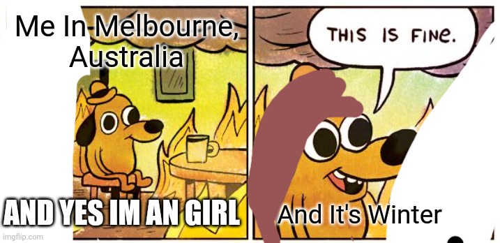 Me In Melbourne, Australia And It's Winter AND YES IM AN GIRL | image tagged in memes,this is fine | made w/ Imgflip meme maker