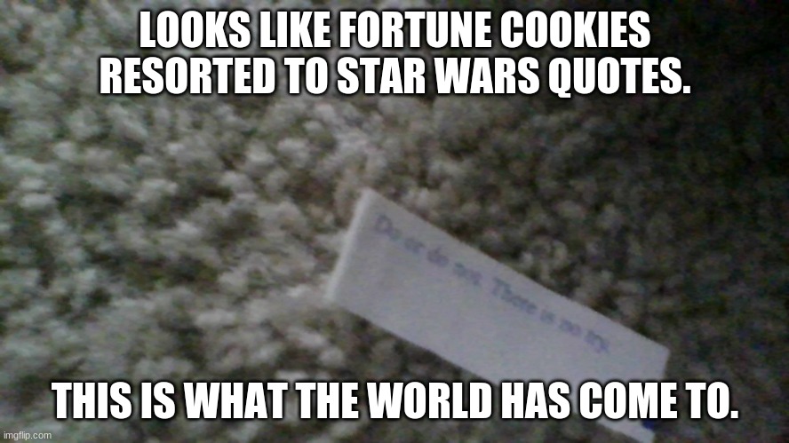 A Quoted Fortune | LOOKS LIKE FORTUNE COOKIES RESORTED TO STAR WARS QUOTES. THIS IS WHAT THE WORLD HAS COME TO. | image tagged in fortune cookie | made w/ Imgflip meme maker