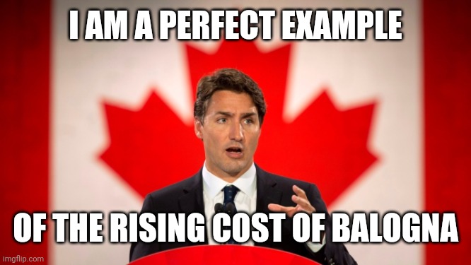 Justin Trudeau | I AM A PERFECT EXAMPLE; OF THE RISING COST OF BALOGNA | image tagged in justin trudeau | made w/ Imgflip meme maker