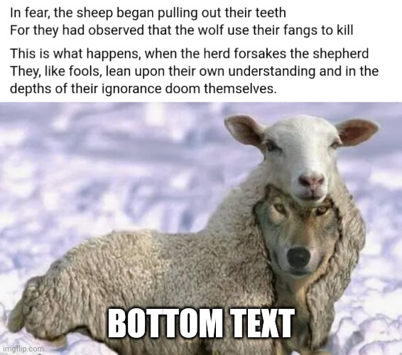 Tiptoing Through Your Tulips | BOTTOM TEXT | image tagged in sheep,wolves,live,die,law,nature | made w/ Imgflip meme maker