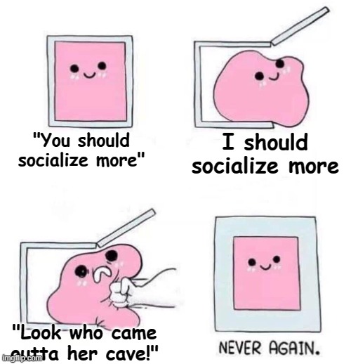 I hate it when people say that | "You should socialize more"; I should socialize more; "Look who came outta her cave!" | image tagged in never again | made w/ Imgflip meme maker