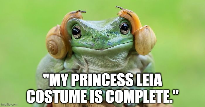 Funny Star Wars and frog animal humour - My Princess Leia costume is complete. | "MY PRINCESS LEIA COSTUME IS COMPLETE." | image tagged in humor,funny meme,funny animals,frog,star wars,princess leia | made w/ Imgflip meme maker