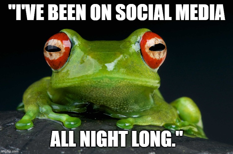 Funny red-eyed frog - "I've been on social media all night long." | "I'VE BEEN ON SOCIAL MEDIA; ALL NIGHT LONG." | image tagged in funny meme,humor,funny animals,frog,social media,politics | made w/ Imgflip meme maker