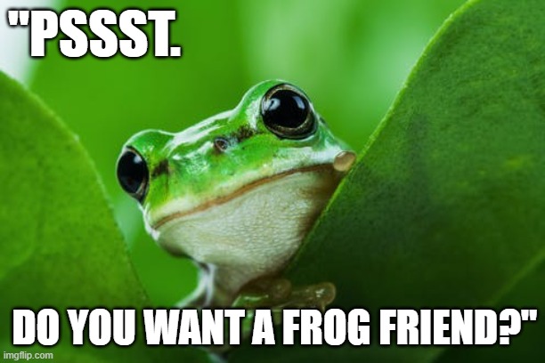 Cute and funny frog meme: "Pssst. Do you want a frog friend?" |  "PSSST. DO YOU WANT A FROG FRIEND?" | image tagged in memes,funny memes,funny animals,frog,cute animals,humor | made w/ Imgflip meme maker