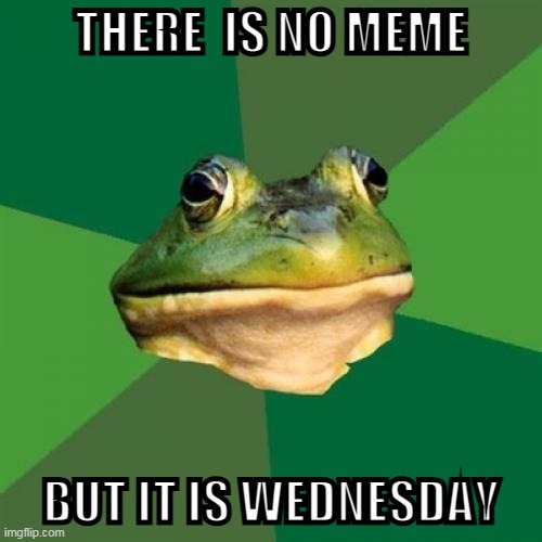 Foul Bachelor Frog |  THERE  IS NO MEME; BUT IT IS WEDNESDAY | image tagged in memes,foul bachelor frog | made w/ Imgflip meme maker