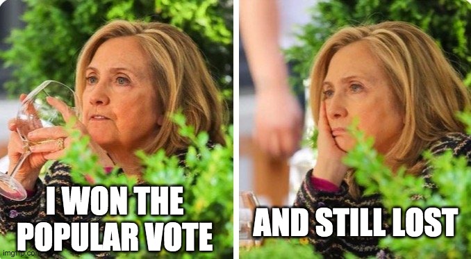I WON THE POPULAR VOTE AND STILL LOST | made w/ Imgflip meme maker