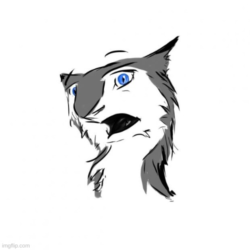 Shocked sergal | image tagged in shocked sergal | made w/ Imgflip meme maker