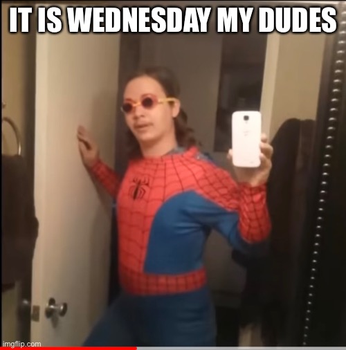 It is wednesday | IT IS WEDNESDAY MY DUDES | image tagged in wednesday | made w/ Imgflip meme maker