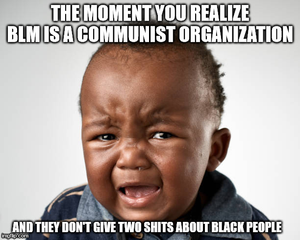 BLM dosent care about black lives only $$$ | image tagged in blm,stupid liberals | made w/ Imgflip meme maker
