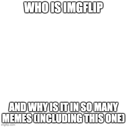 Blank Transparent Square | WHO IS IMGFLIP; AND WHY IS IT IN SO MANY MEMES (INCLUDING THIS ONE) | image tagged in memes,blank transparent square | made w/ Imgflip meme maker