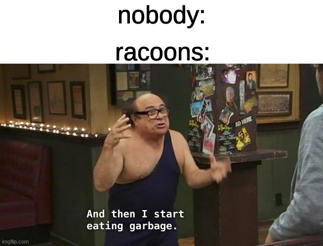 And then I start eating garbage. | nobody:; racoons: | image tagged in and then i start eating garbage | made w/ Imgflip meme maker