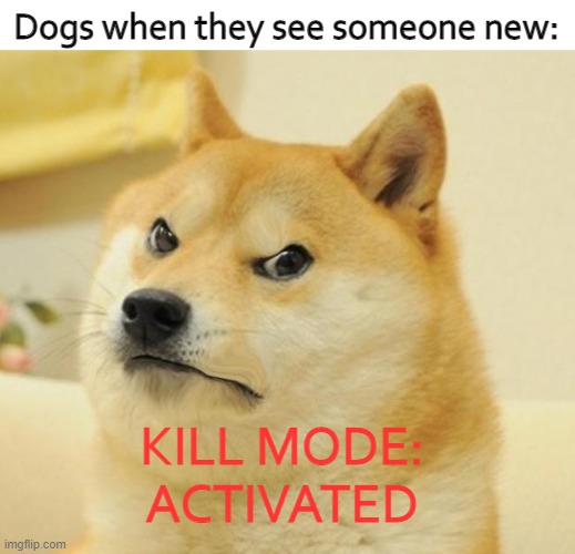 doge logic | Dogs when they see someone new:; KILL MODE:
ACTIVATED | image tagged in mad doge | made w/ Imgflip meme maker