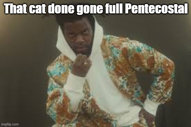 Fly | That cat done gone full Pentecostal | image tagged in fly | made w/ Imgflip meme maker