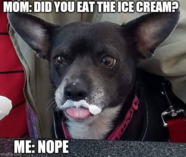 I didn't eat it | MOM: DID YOU EAT THE ICE CREAM? ME: NOPE | image tagged in ichabel | made w/ Imgflip meme maker