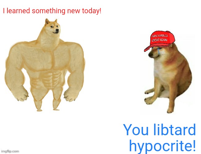 Buff doge vs. MAGA cheems | You libtard hypocrite! I learned something new today! | image tagged in buff doge vs maga cheems | made w/ Imgflip meme maker
