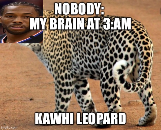 Kawhi Leopard | NOBODY: 
MY BRAIN AT 3:AM; KAWHI LEOPARD | image tagged in funny | made w/ Imgflip meme maker