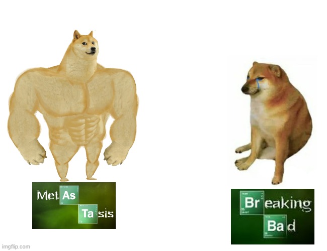 Buff Doge vs. Cheems | image tagged in memes,buff doge vs cheems | made w/ Imgflip meme maker