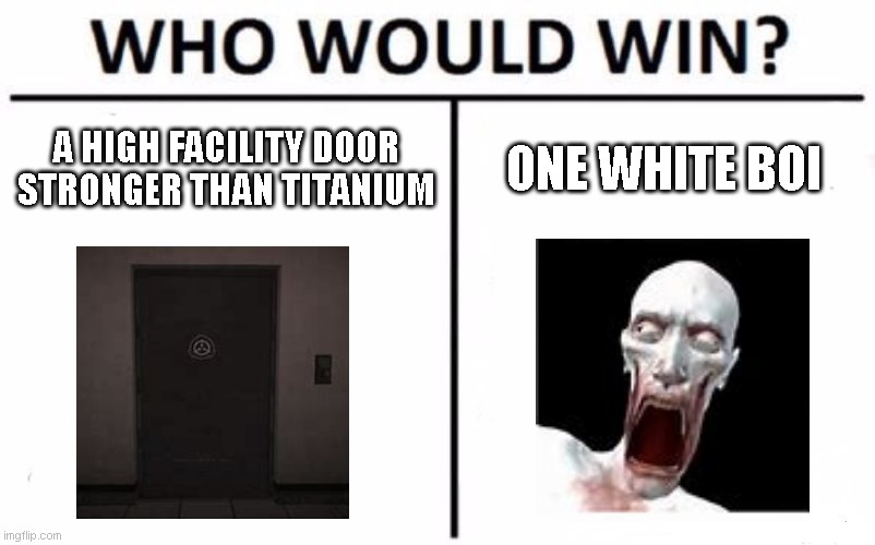 Who Would Win? Meme |  A HIGH FACILITY DOOR STRONGER THAN TITANIUM; ONE WHITE BOI | image tagged in memes,who would win | made w/ Imgflip meme maker